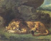 Eugene Delacroix Lion Devouring a Rabbit (mk05) china oil painting reproduction